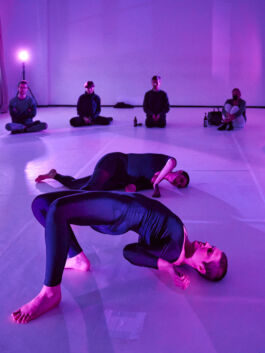 villa\wigman – Raum für Darstellende Künste