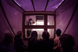 villa\wigman – Raum für Darstellende Künste