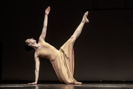 villa\wigman – Raum für Darstellende Künste