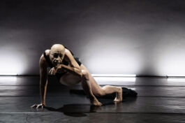 villa\wigman – Raum für Darstellende Künste