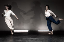  villa\wigman – Raum für Darstellende Künste