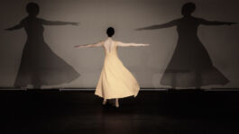 villa\wigman – Raum für Darstellende Künste