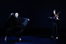 villa\wigman – Raum für Darstellende Künste