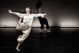 villa\wigman – Raum für Darstellende Künste