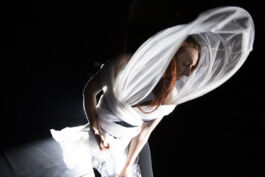 villa\wigman – Raum für Darstellende Künste