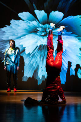  villa\wigman – Raum für Darstellende Künste