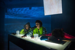 villa\wigman – Raum für Darstellende Künste