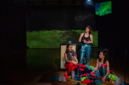 villa\wigman – Raum für Darstellende Künste