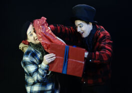 villa\wigman – Raum für Darstellende Künste