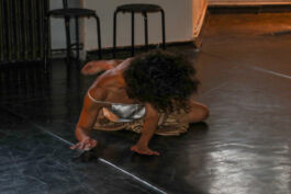 villa\wigman – Raum für Darstellende Künste