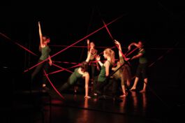 villa\wigman – Raum für Darstellende Künste