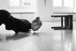 villa\wigman – Raum für Darstellende Künste