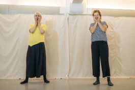 villa\wigman – Raum für Darstellende Künste