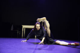 villa\wigman – Raum für Darstellende Künste