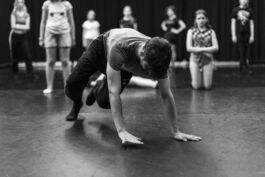 villa\wigman – Raum für Darstellende Künste