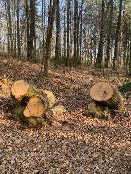 villa\wigman – Raum für Darstellende Künste