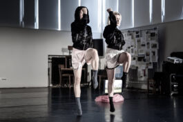 villa\wigman – Raum für Darstellende Künste