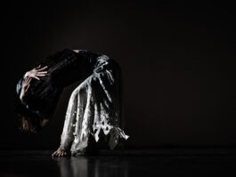 villa\wigman – Raum für Darstellende Künste