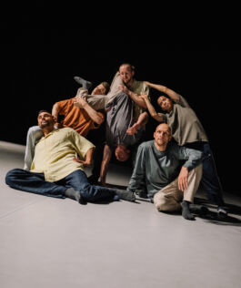  villa\wigman – Raum für Darstellende Künste