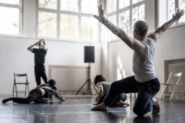 villa\wigman – Raum für Darstellende Künste