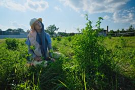 villa\wigman – Raum für Darstellende Künste