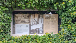 villa\wigman – Raum für Darstellende Künste