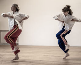 villa\wigman – Raum für Darstellende Künste