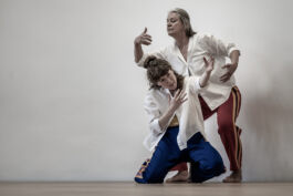 villa\wigman – Raum für Darstellende Künste