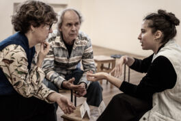 villa\wigman – Raum für Darstellende Künste