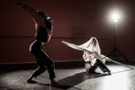 villa\wigman – Raum für Darstellende Künste